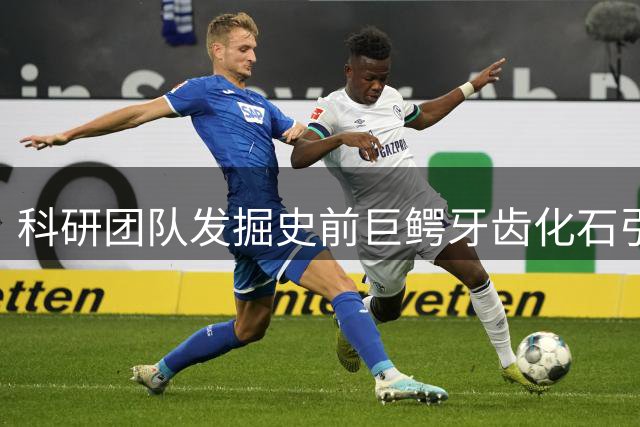 科研团队发掘史前巨鳄牙齿化石引热议