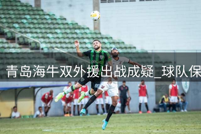 青岛海牛双外援出战成疑 球队保级压力陡增